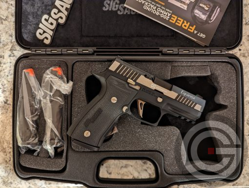 Sig Sauer P320 AXG Equinox - Image 2